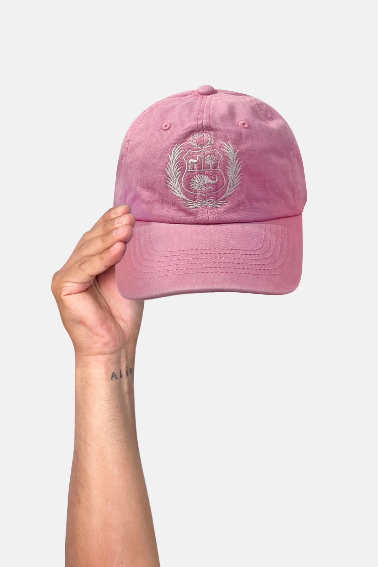 Shield Hat_BL