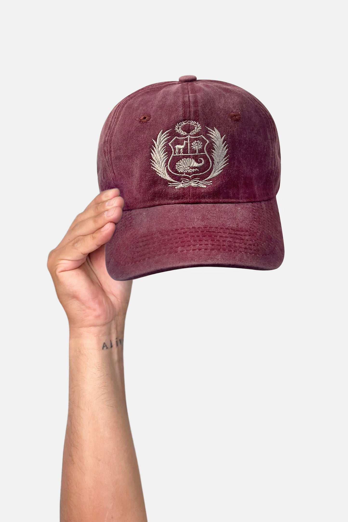 Gorro Escudo_IV (8745954836733)