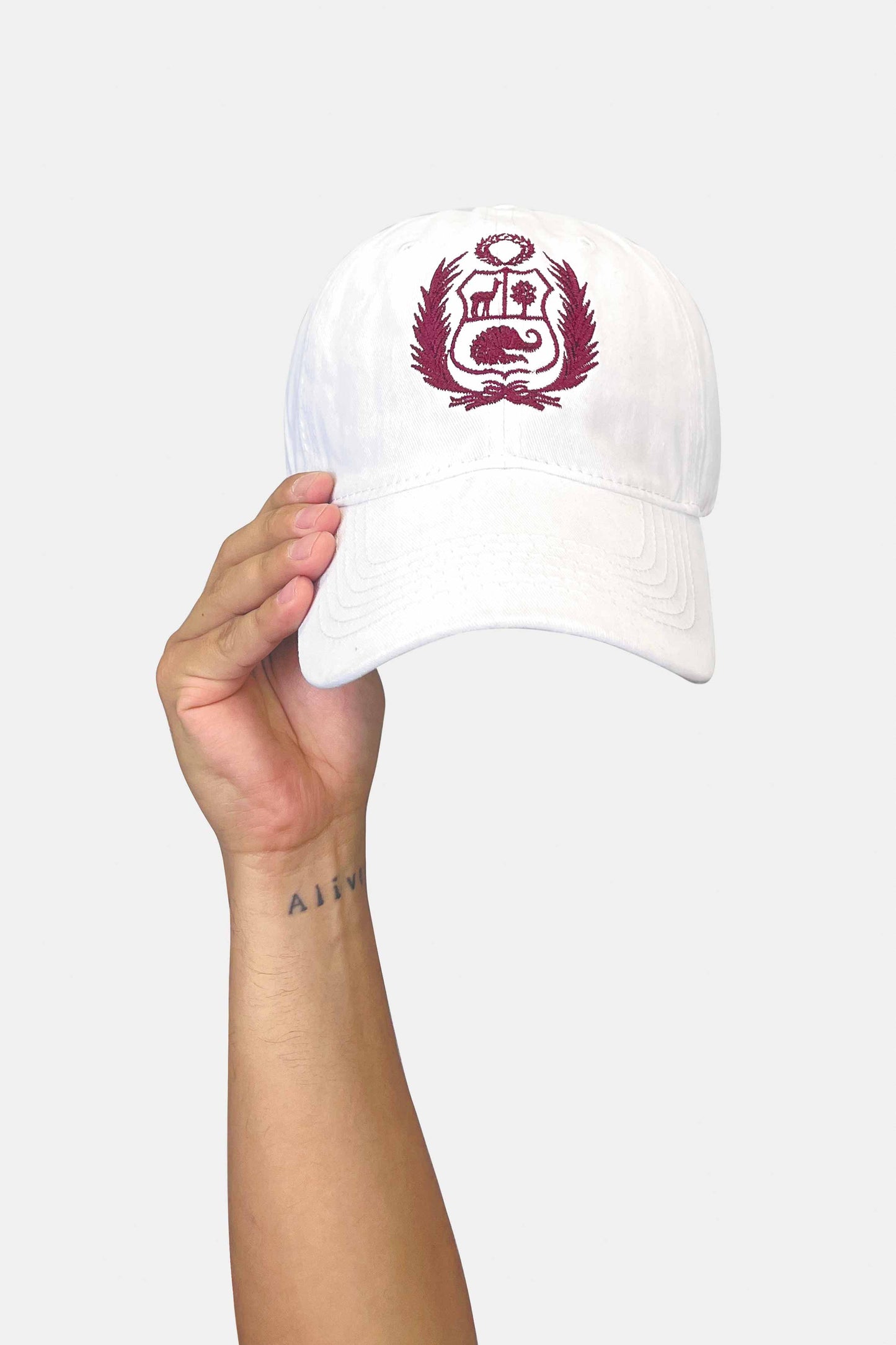 Gorro Escudo_GUI (8254447681789)