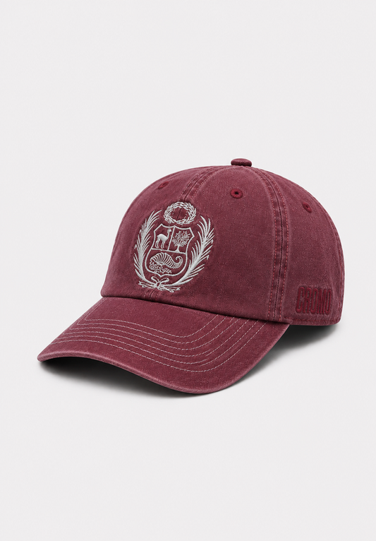 Gorro Escudo IV