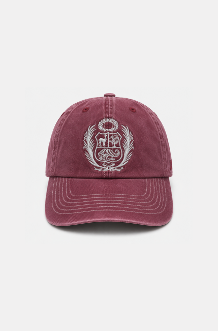Gorro Escudo IV