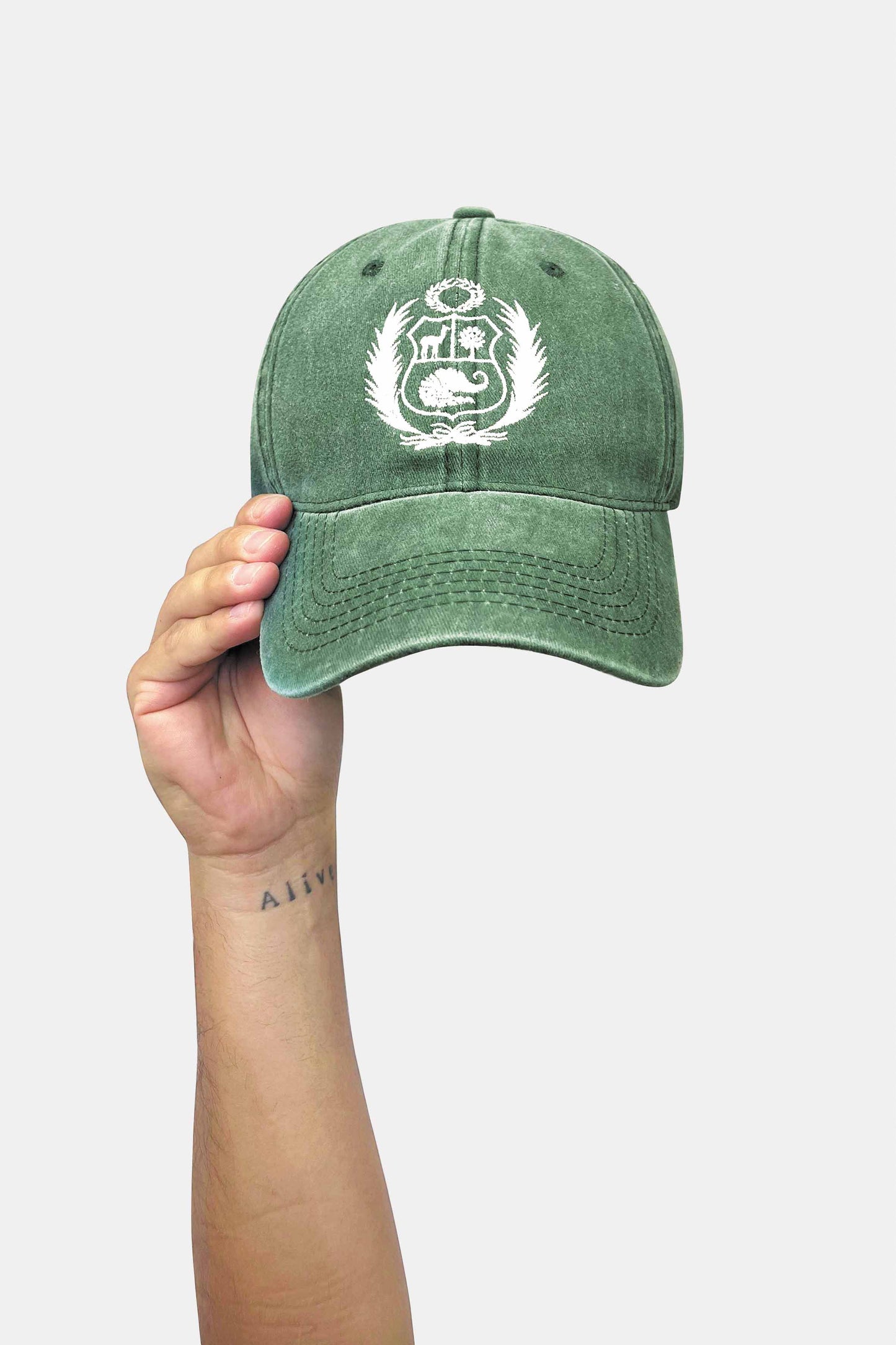 Gorro Escudo_IV (8068818043133)