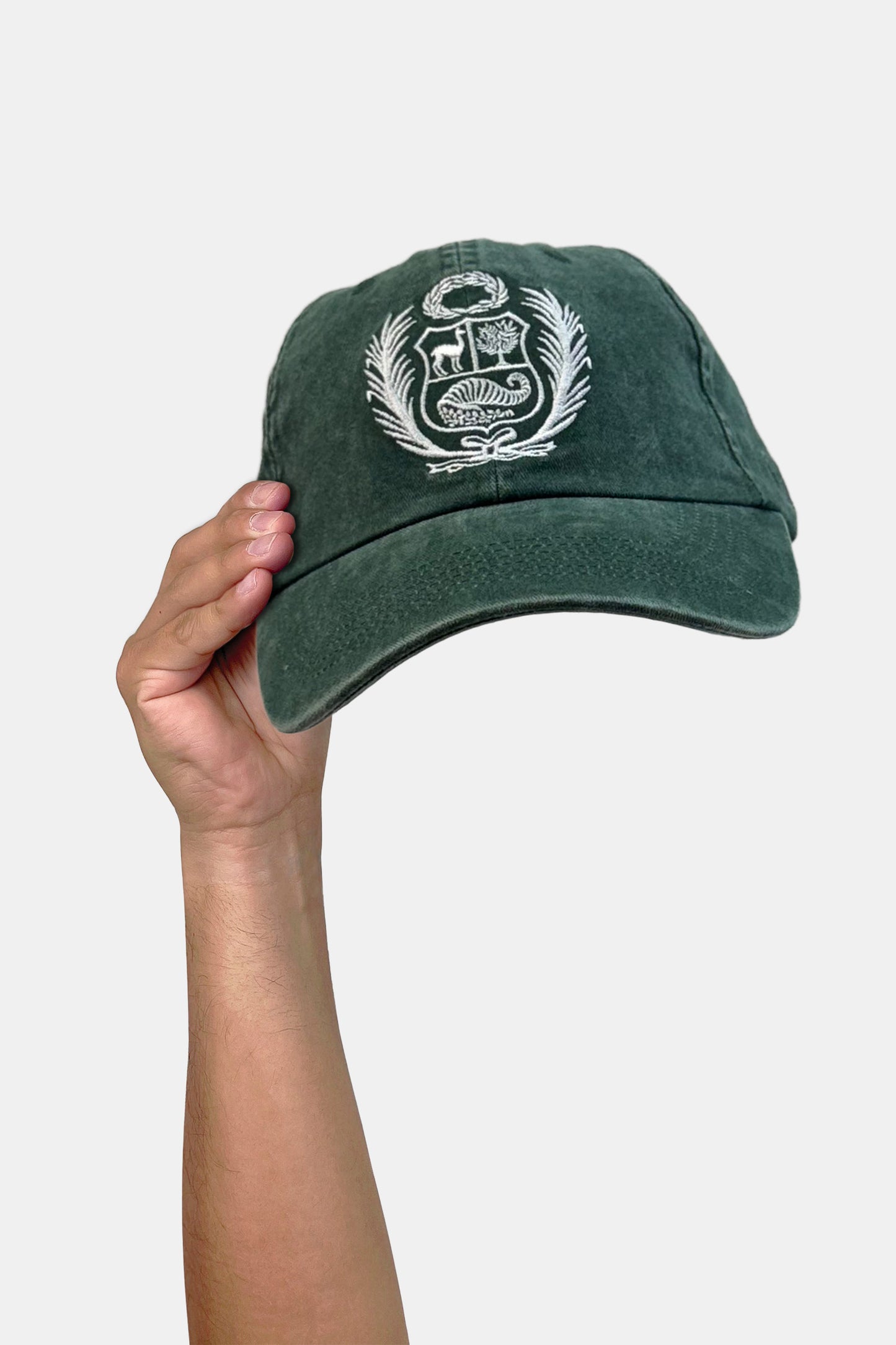 Gorro Escudo IV