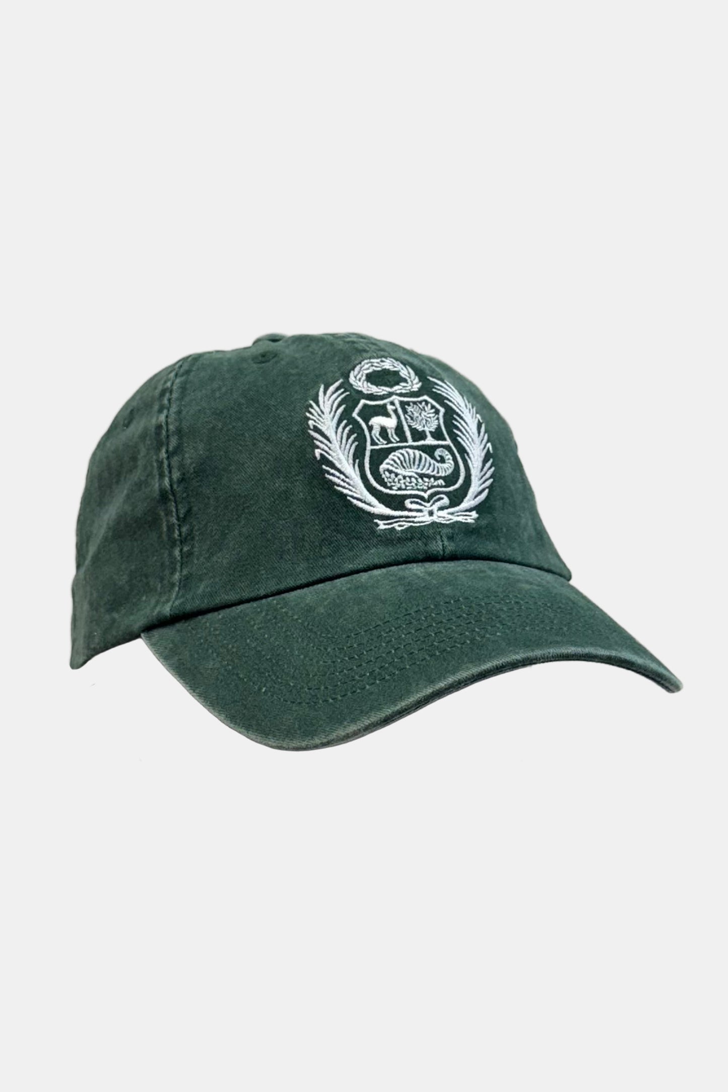 Gorro Escudo IV
