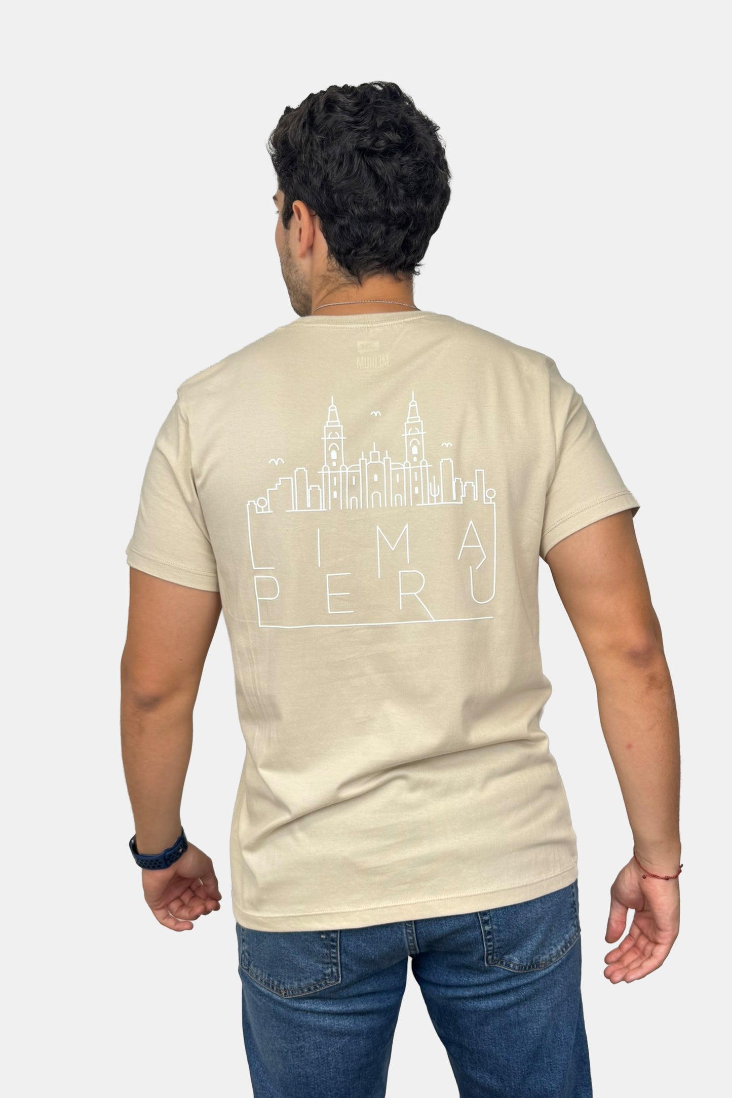 Polo Lima Perú Arena