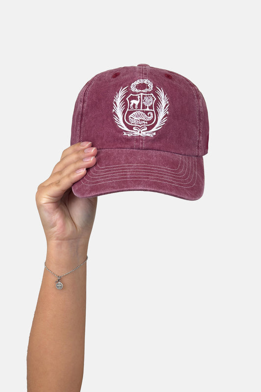 Gorro Escudo IV
