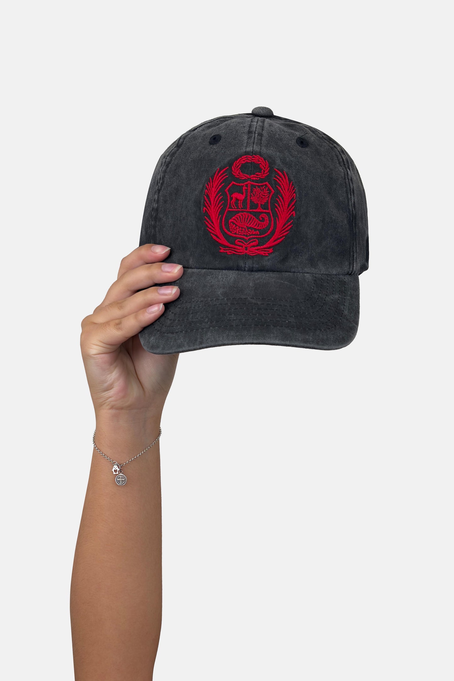 Shield Hat_RO