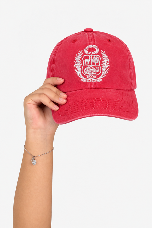 Gorro Escudo IV