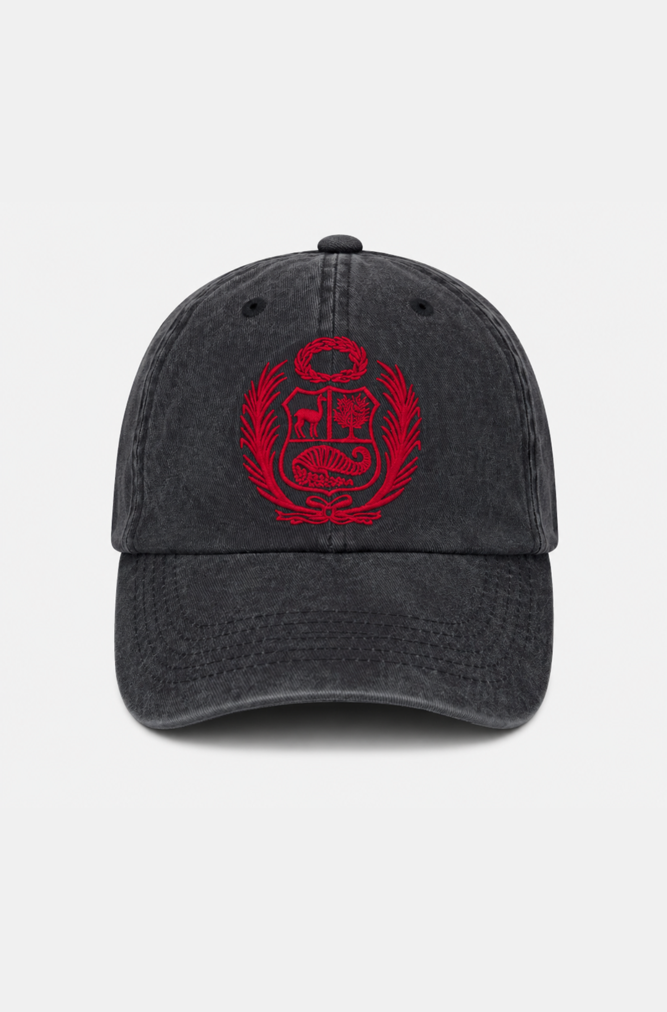 Gorro Escudo RO