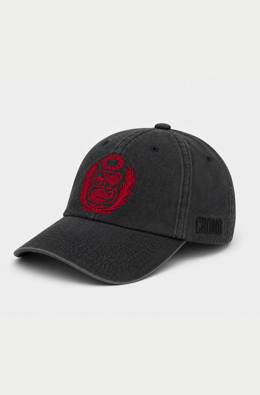 Gorro Escudo RO